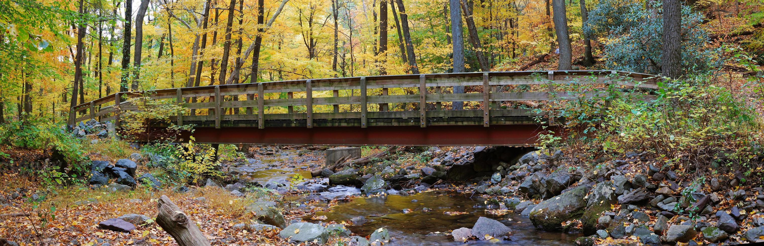 Autumn wood bridge panorama photo