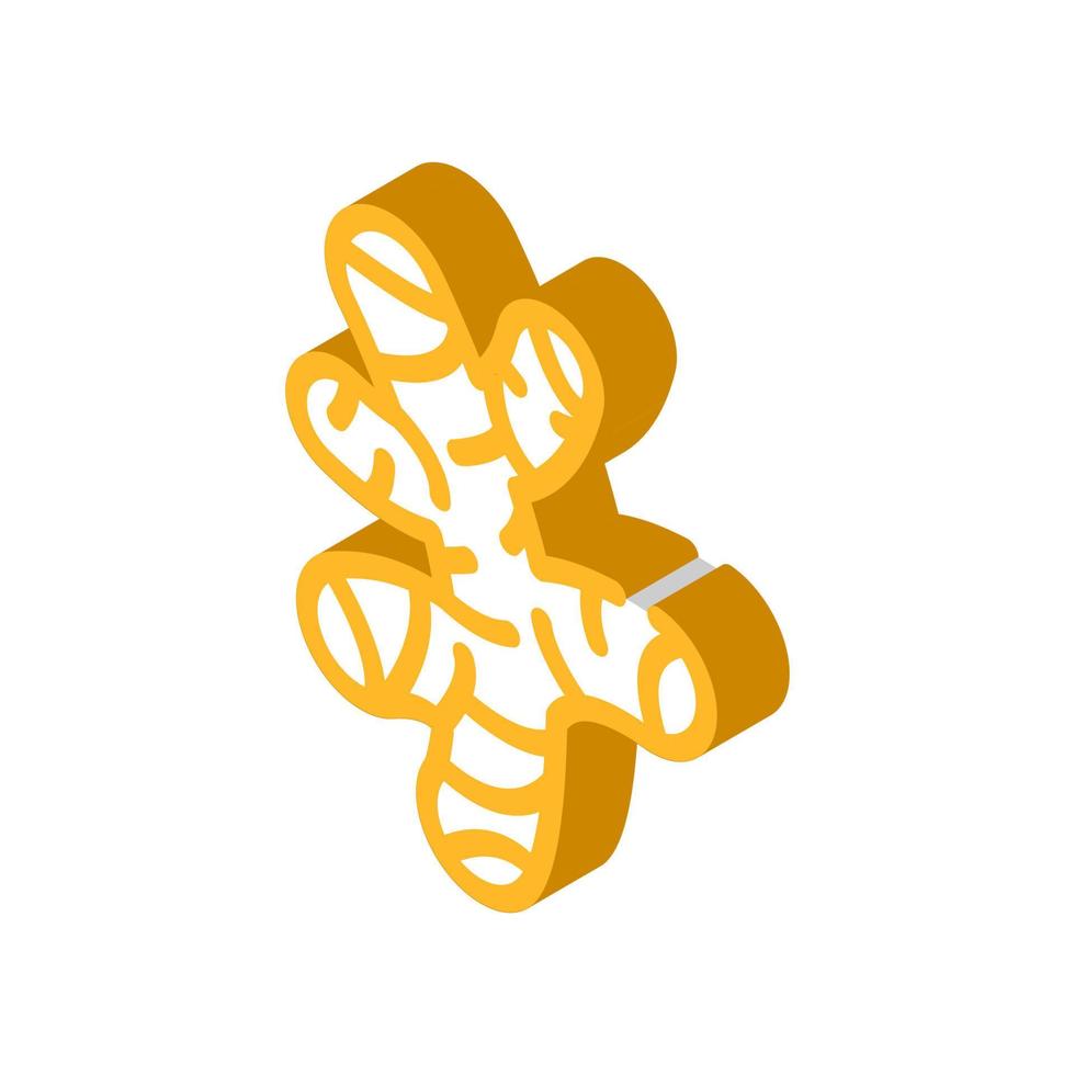 ginger root glyph icon vector illustration color