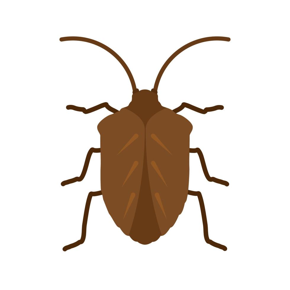Insect Flat Multicolor Icon vector