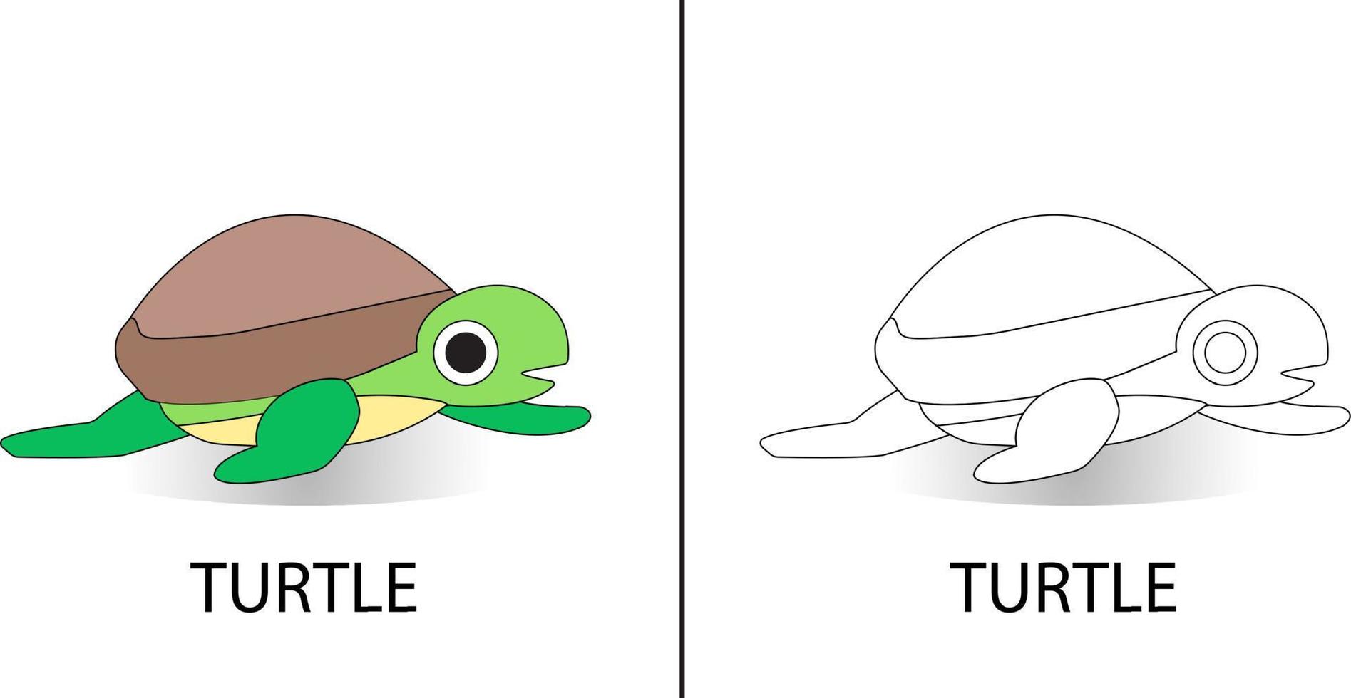 Turtle Cartoon Vector Illustration. Tortoise Mascot Logo. Kids Coloring Images Animal. Kids Drawing Icon Character
