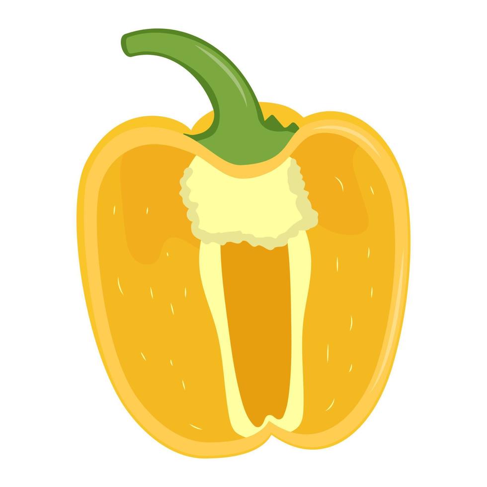 Half of cute yellow pepper isolated on white background. Flat vector illustration.