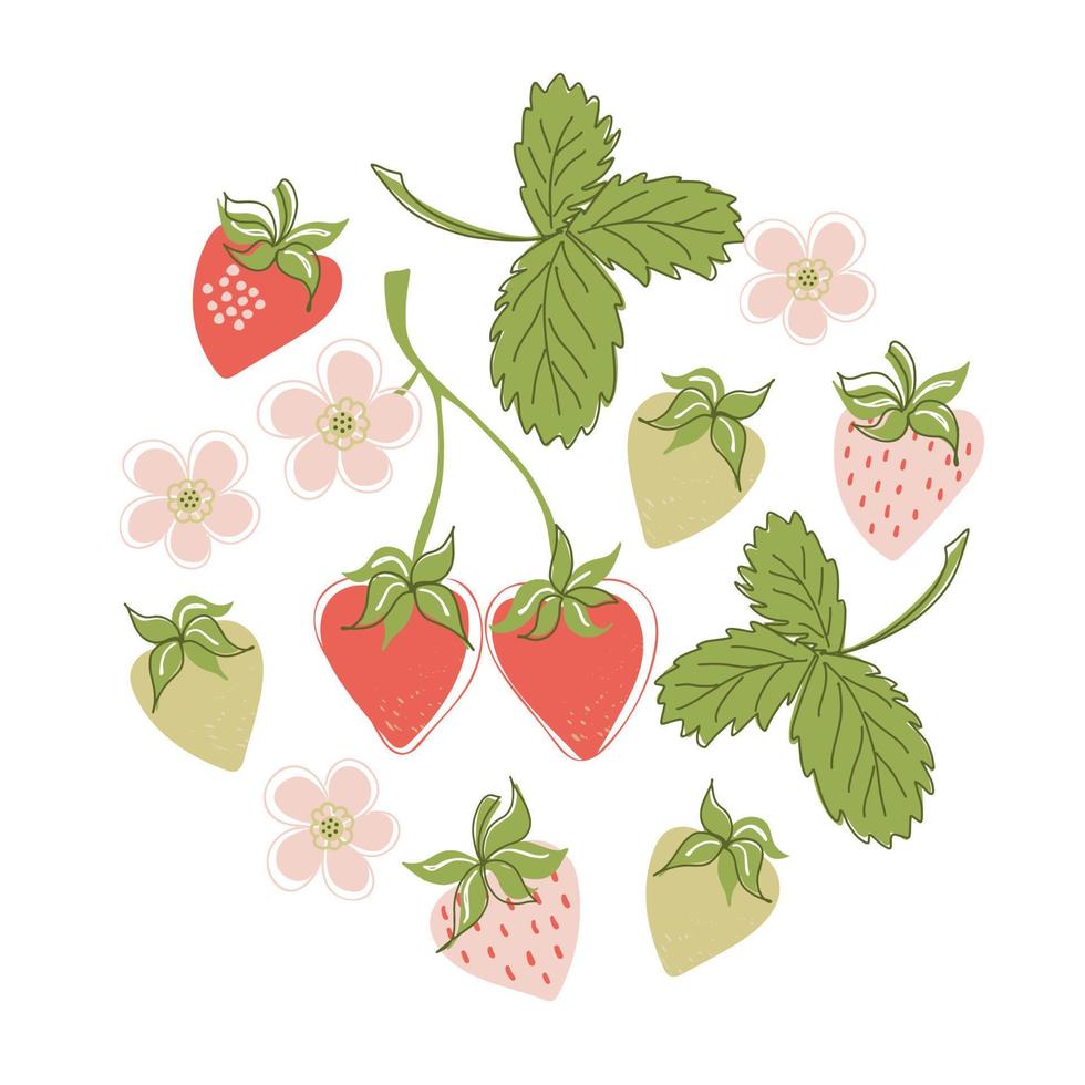 Colorful strawberry set for decorative design. Vector illustrations collection of berries, flowers and leaves. Summer season's healthy food.