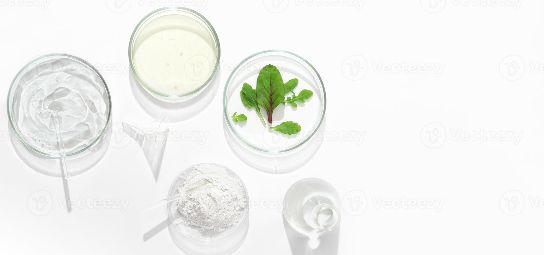 placas de petri con cosmética sobre fondo blanco. vista superior, laboratorio cosmético de ciencia dermatológica. medicina natural, investigación cosmética, productos orgánicos para el cuidado de la piel, espacio de copia, pancarta. foto