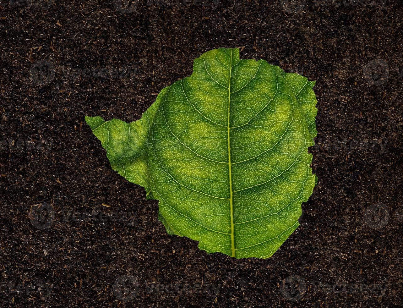 Zimbabwe map made of green leaves on soil background ecology concept photo