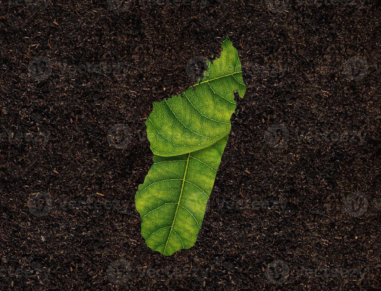 Madagascar map made of green leaves on soil background ecology concept photo