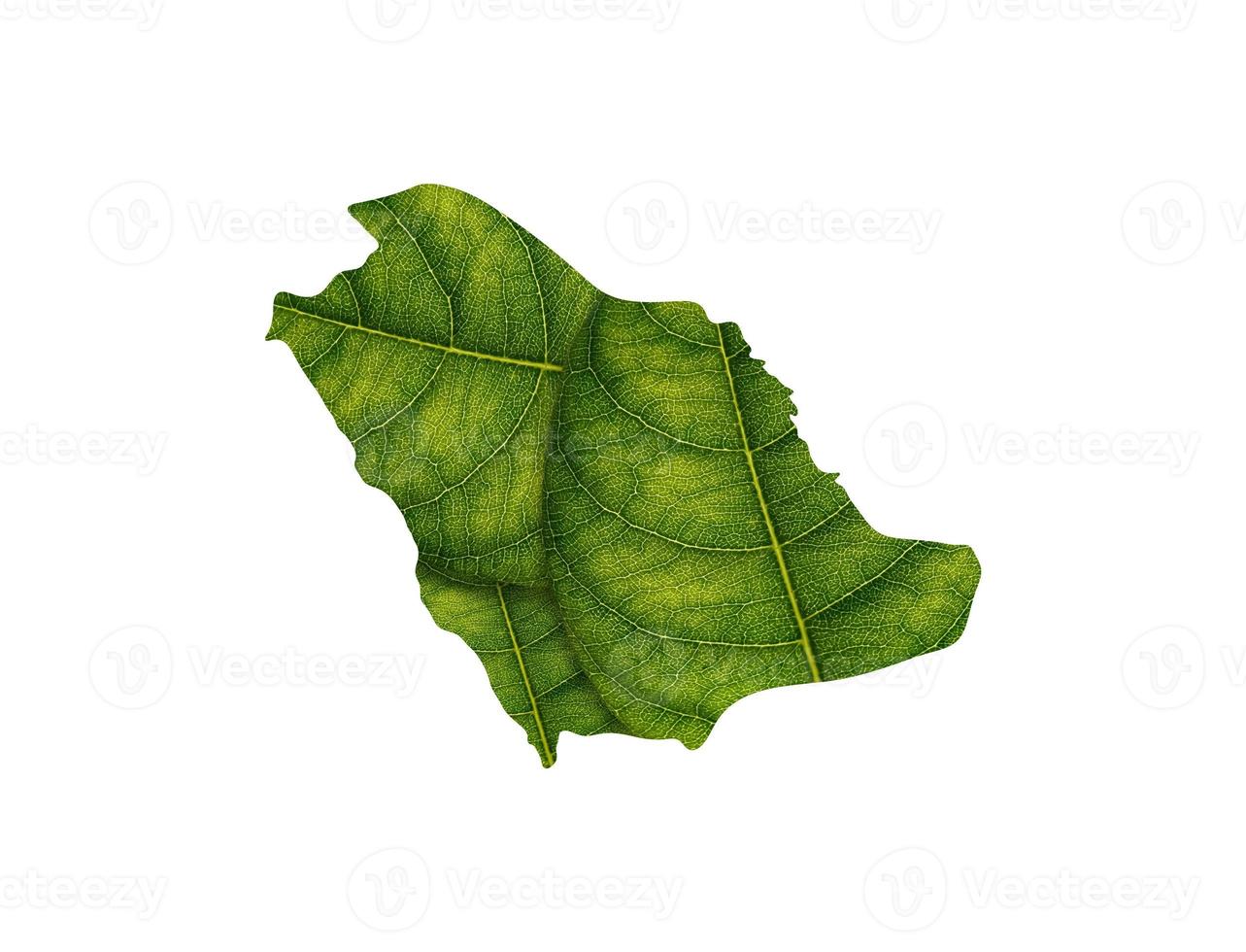 Saudi Arabia map made of green leaves on white background ecology concept photo