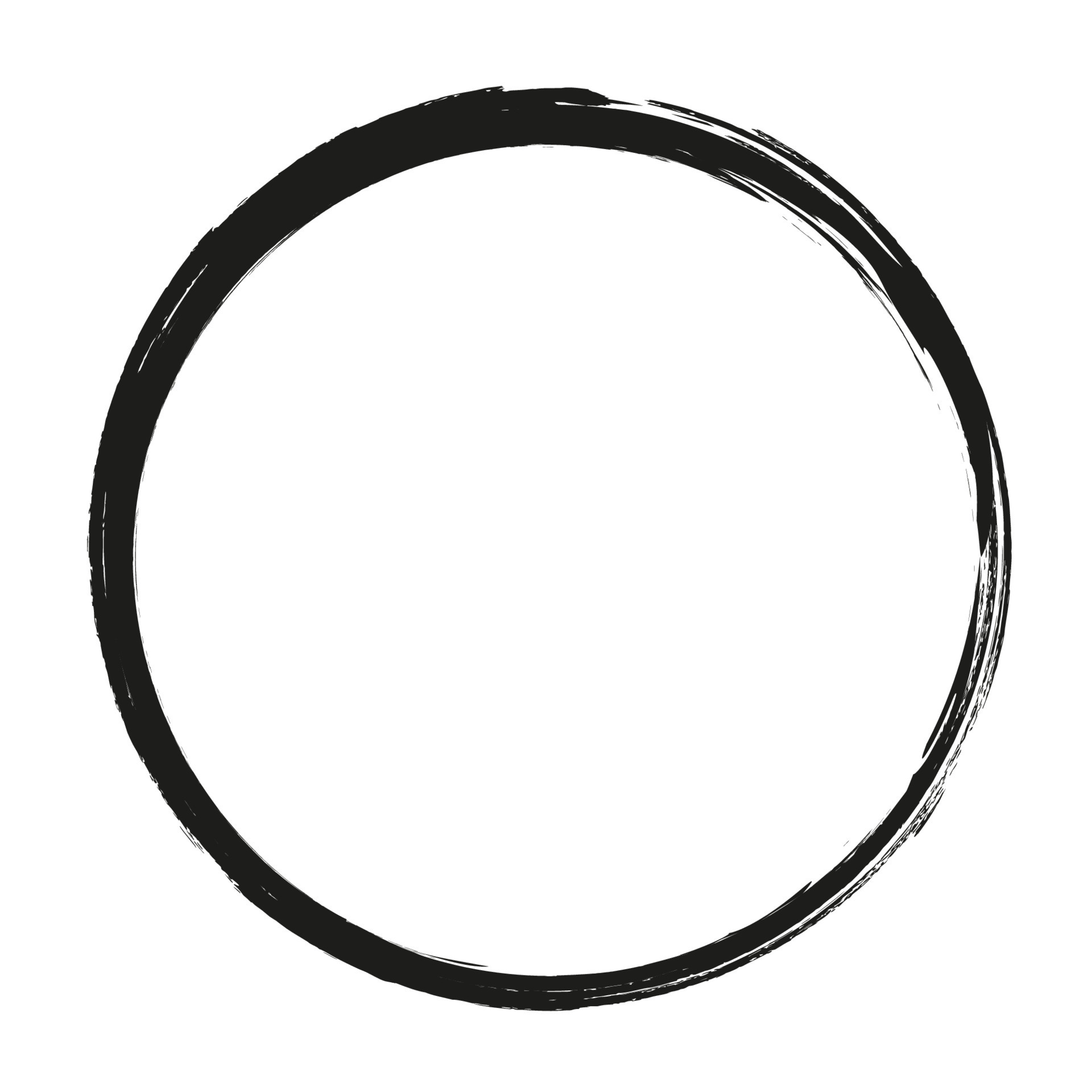 vector brush strokes circles of paint on white background. Ink hand