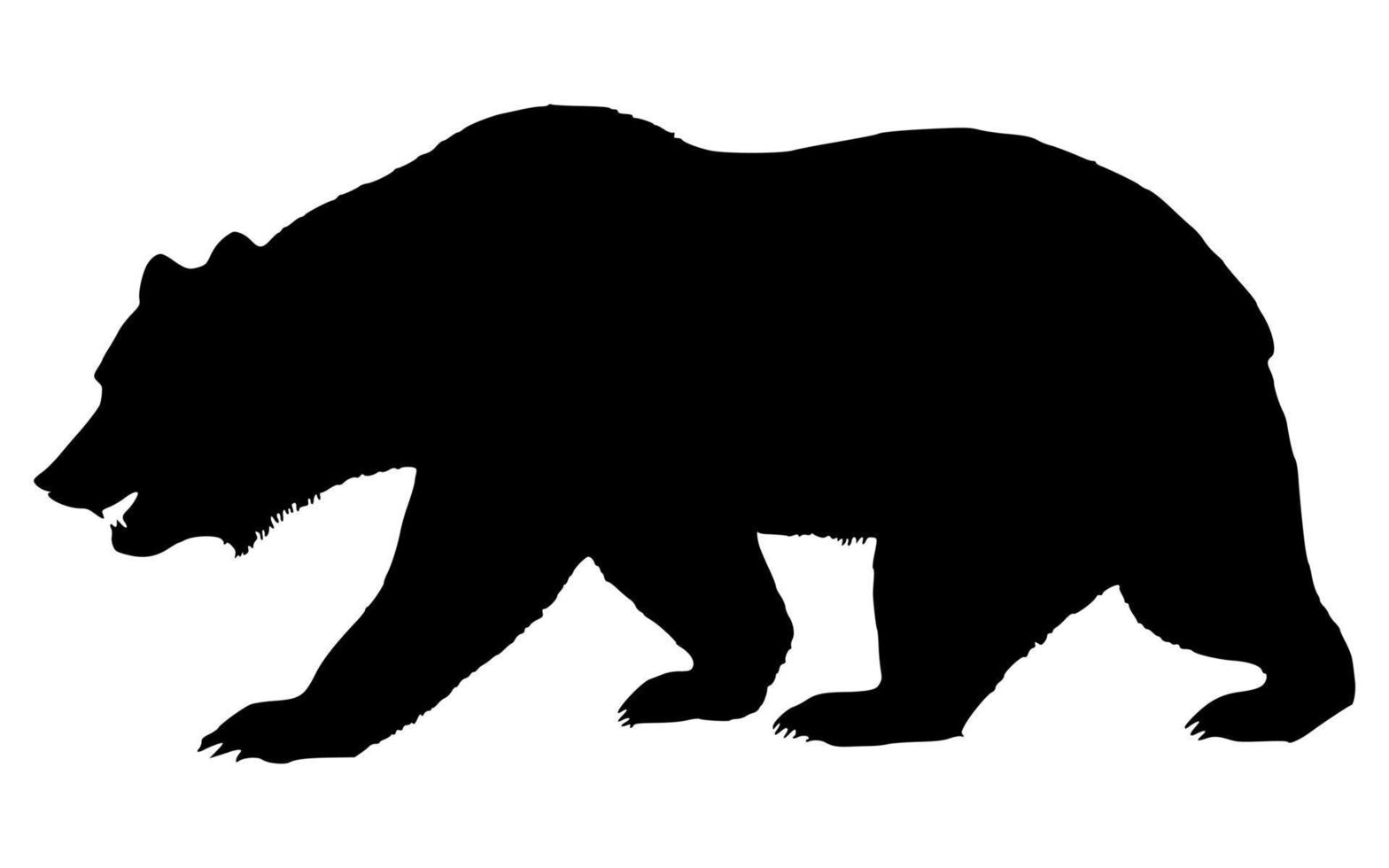 Bear icon. Bear vector illustration on white background.