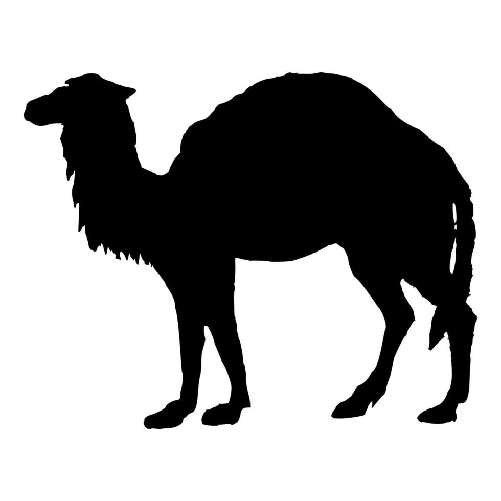 Camel sign icon on white background. Suitable for web and mobile app. Vector illustration.