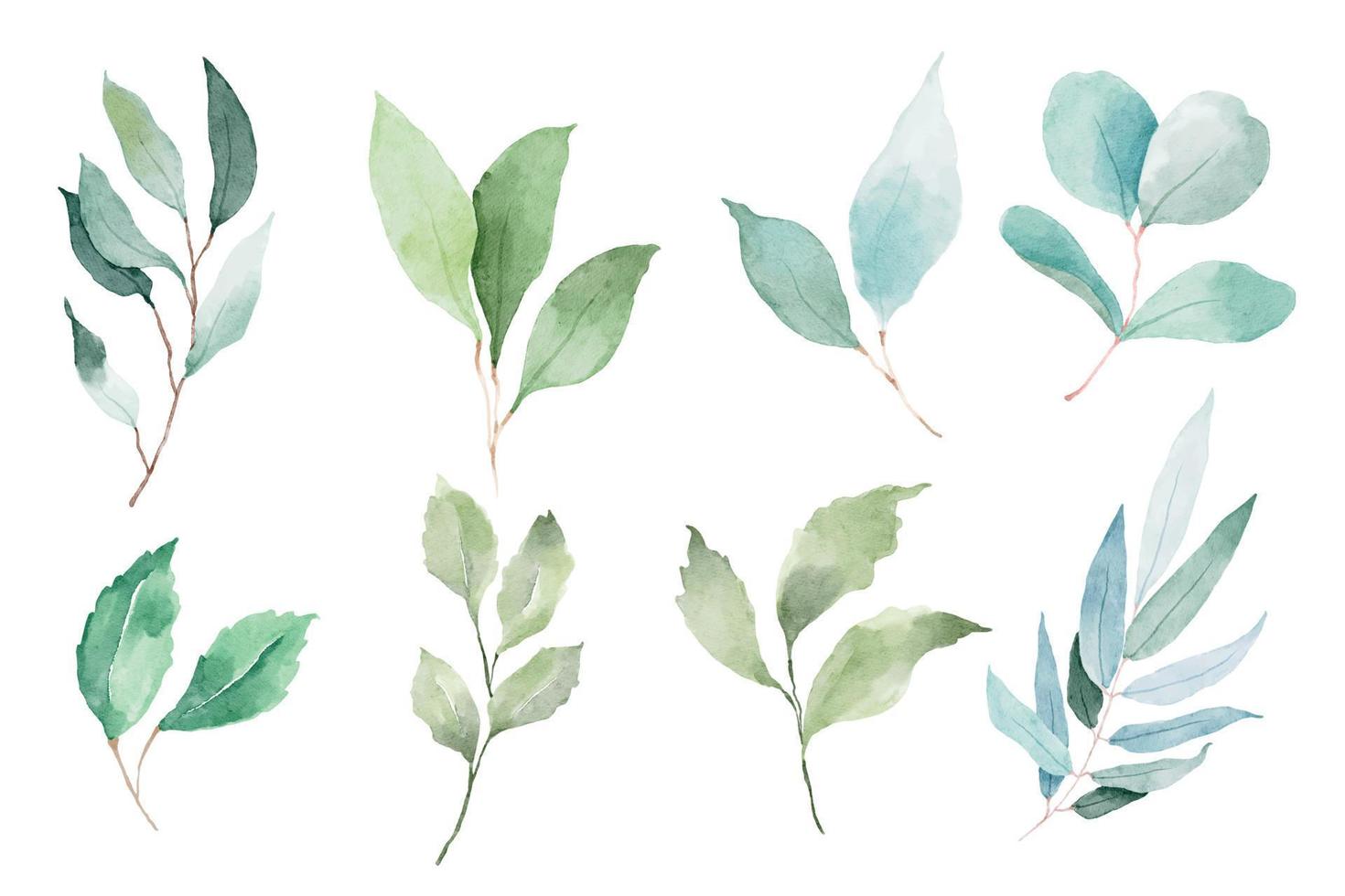 Green leaves vector watercolor set