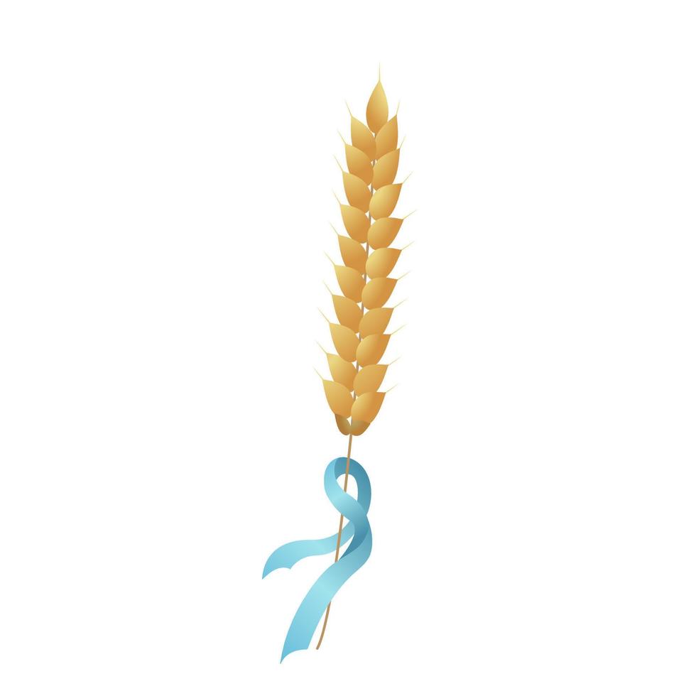 Spikelet of wheat with blue ribbon vector