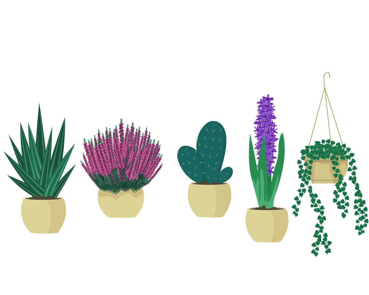 Set of indoor plants in flower pots. vector