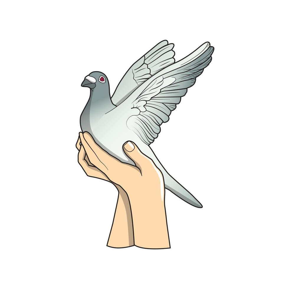 diseño de ilustración de vector de paloma y mano
