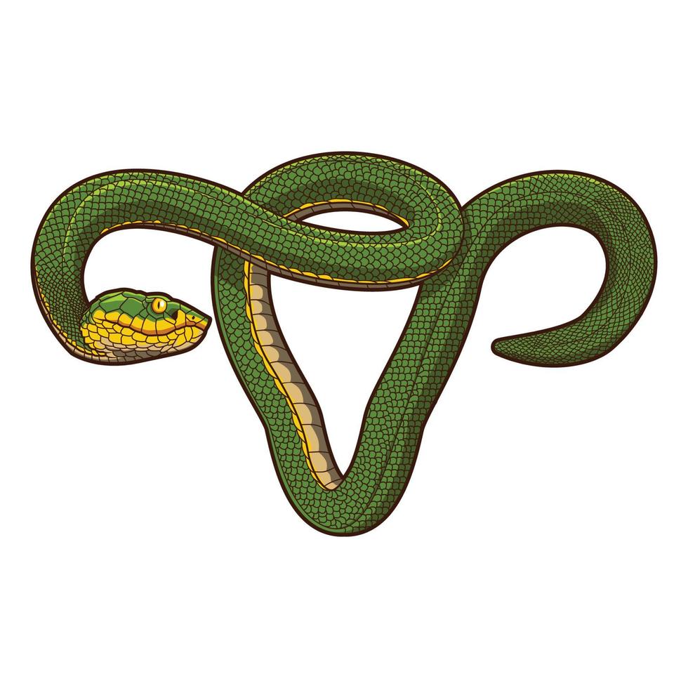 snake green vector illustration design