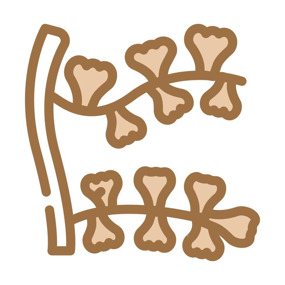 sargassum horneri seaweed color icon vector illustration