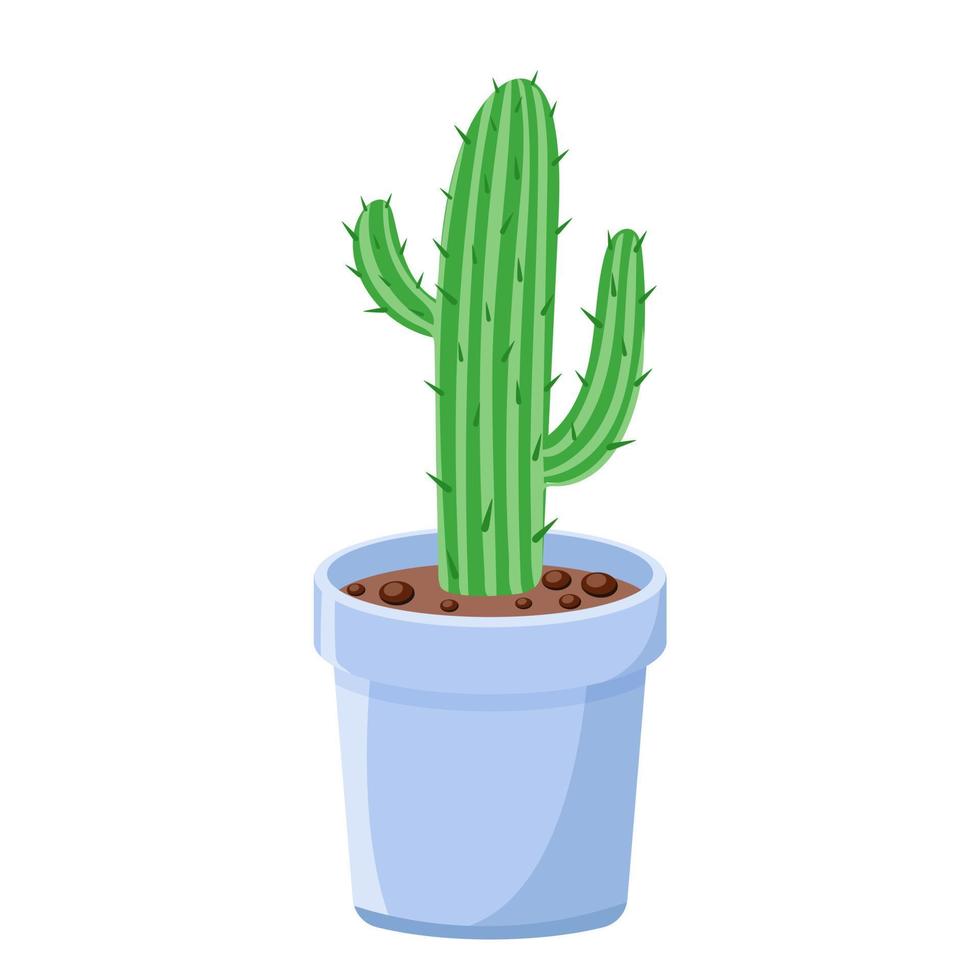 Beautiful prickly elongated cactus in pot isolated vector