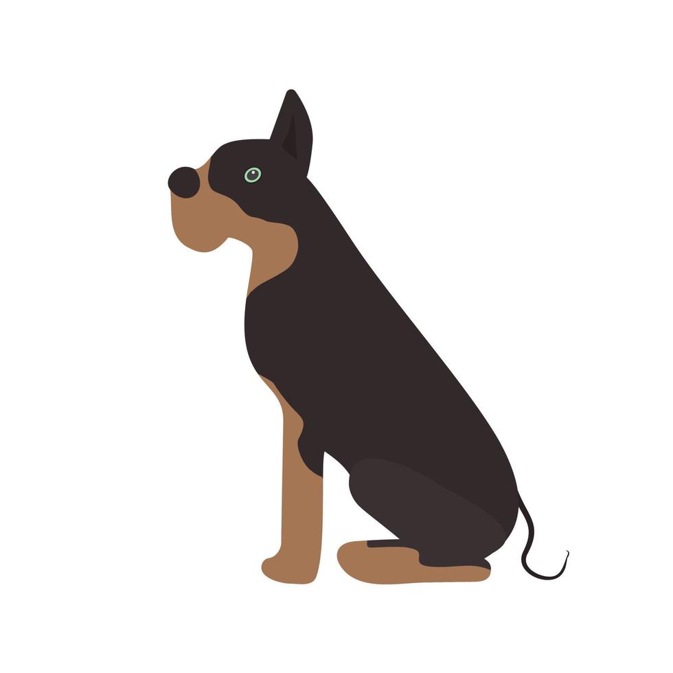 Dog Flat Multicolor Icon vector