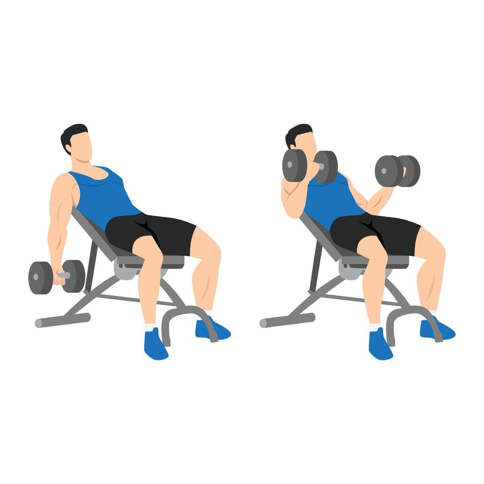 hombre haciendo curl inclinado con mancuernas. ilustración vectorial plana aislada en diferentes capas. personaje de entrenamiento vector