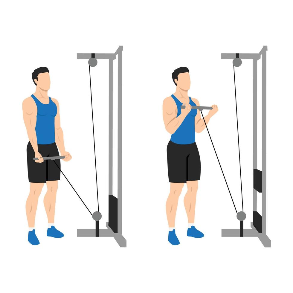 hombre haciendo curl de cable de polea baja de barra recta. ilustración vectorial plana aislada en diferentes capas. personaje de entrenamiento vector