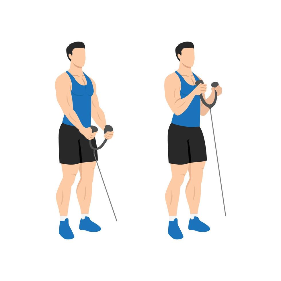 hombre haciendo curl de martillo de bíceps de cuerda. ilustración vectorial plana aislada en diferentes capas. personaje de entrenamiento vector