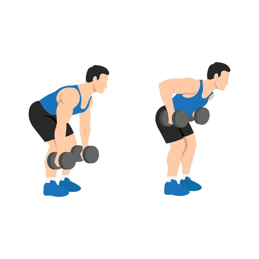 Man doing Dumbbell bent over rows exercise flat vector illustration isolated on white background