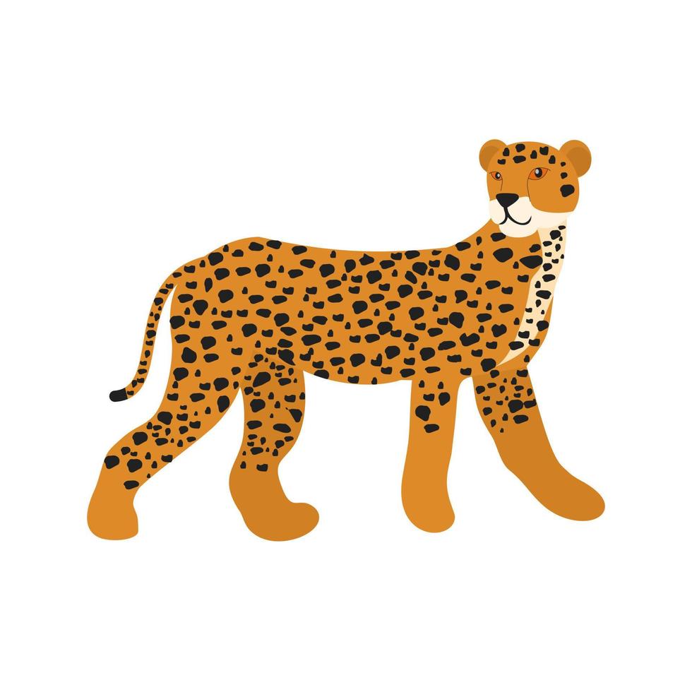icono multicolor plano de guepardo vector