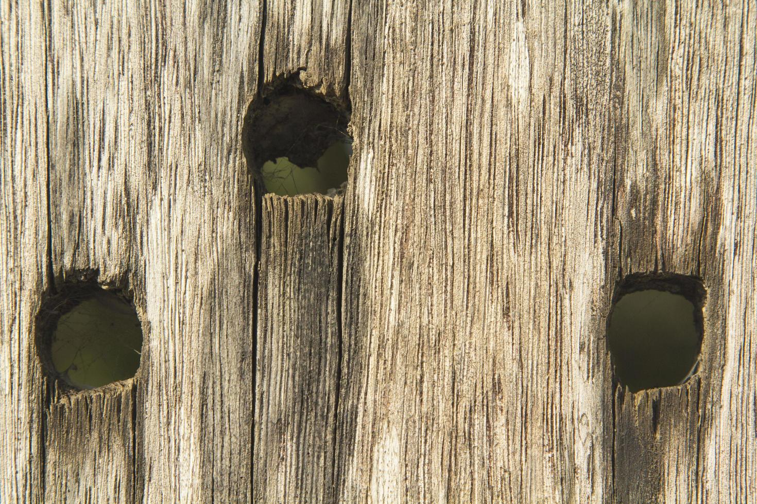 pattern of the old wooden plank is yellow hardwood, natural wood used to decorate the house to be beautiful and protect against robbers and criminals. photo