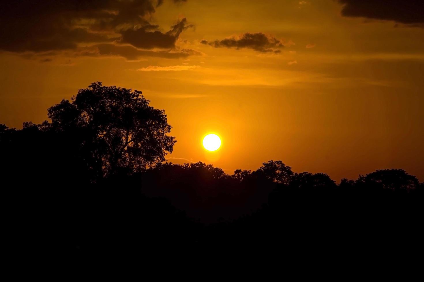 sun is rising-and-set in the morning-evening and the trees are shadowed black - orange sky and clouds. Warm, romantic and gloriously beautiful, it looks warm and travelling. photo