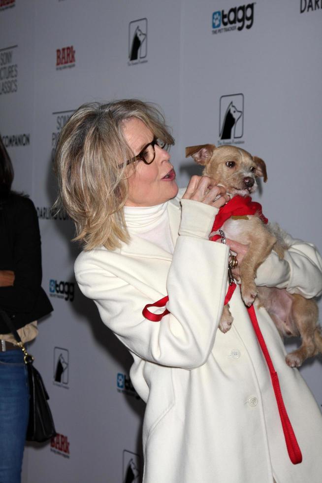 LOS ANGELES, APR 17 - Diane Keaton and Rescue dogs up for adoption arrives at the Darling Companion Premiere at Egyptian Theater on April 17, 2012 in Los Angeles, CA photo