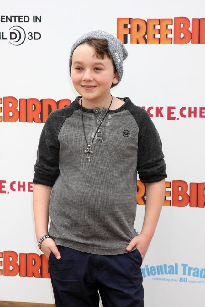 LOS ANGELES, OCT 13 - Benjamin Stockham at the Free Birds Premiere at Village Theater on October 13, 2013 in West Hollywood, CA photo