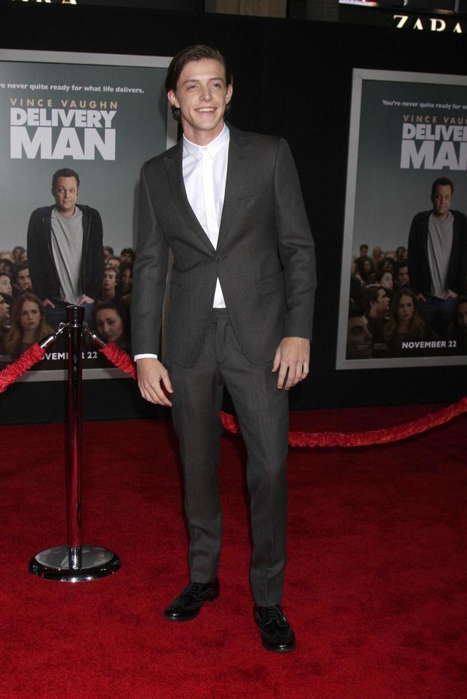 LOS ANGELES, NOV 3 - Dave Patten at the Delivery Man World Premiere at El Capitan Theater on November 3, 2013 in Los Angeles, CA photo