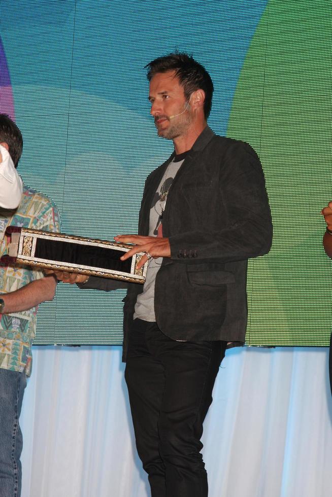 LOS ANGELES, AUG 19 - David Arquette at the D23 Expo 2011 at the Anaheim Convention Center on August 19, 2011 in Anaheim, CA photo