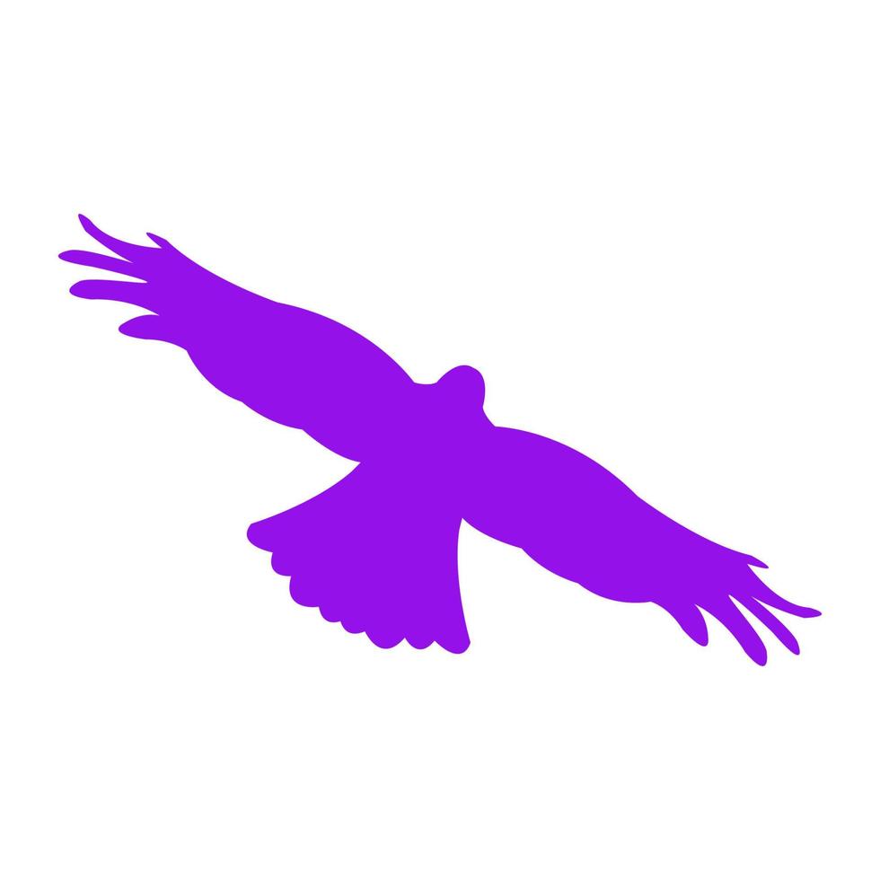 Eagle illustrated on a white background vector