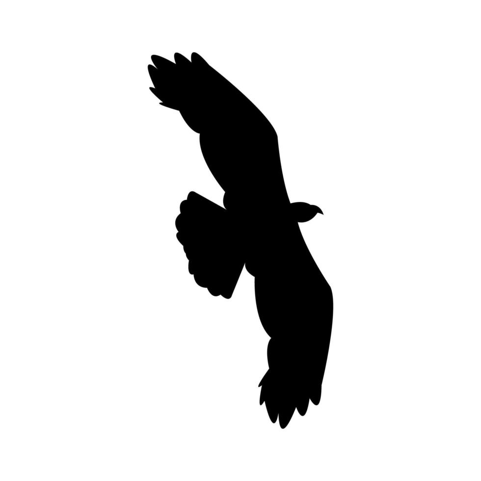 águila ilustrada sobre un fondo blanco vector