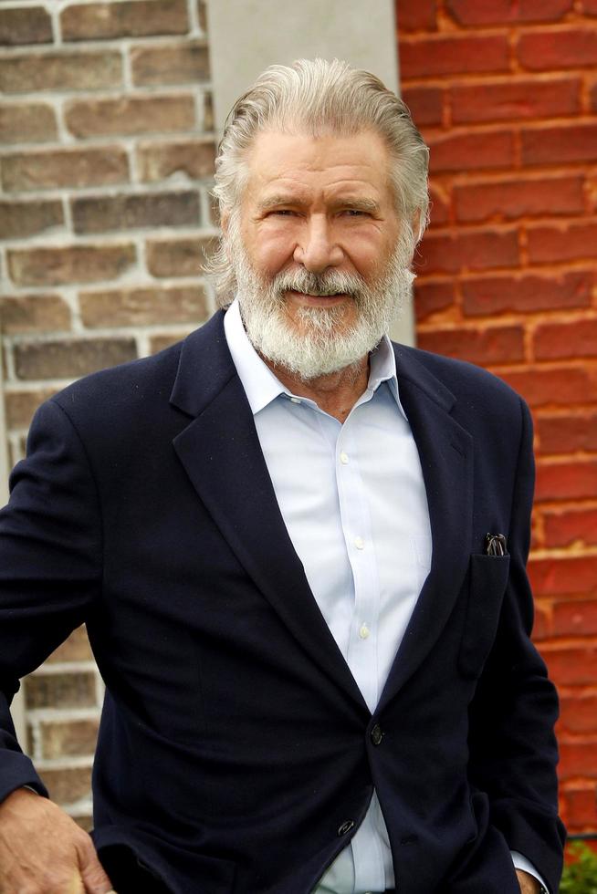 LOS ANGELES JUN 2 - Harrison Ford at the The Secret Life of Pets 2 Premiere at the Village Theater on June 2, 2019 in Westwood, CA photo