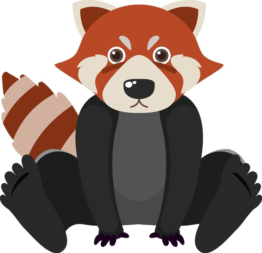 Cute raccoon in flat style vector