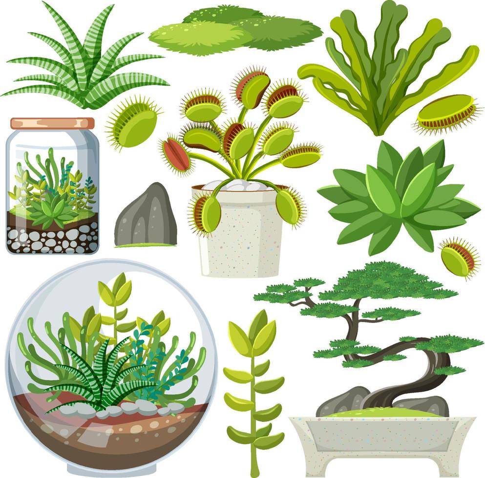 Various plants seamless pattern vector