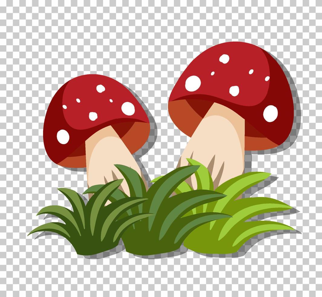 Mushrooms in grass isolated vector
