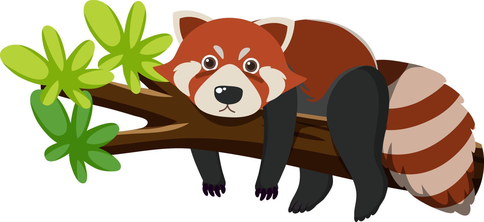 Cute red raccoon in flat cartoon style vector