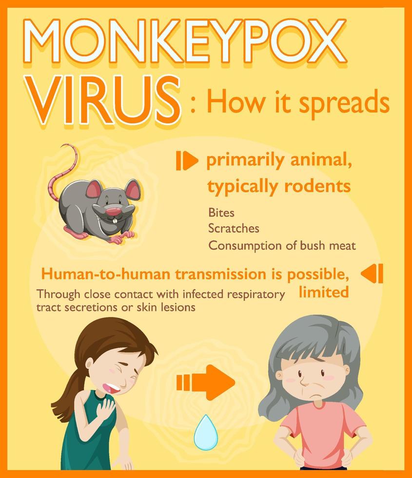 Monkeypox virus symptoms infographic vector