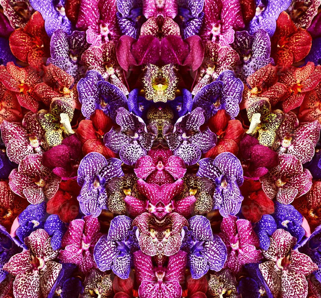 patrón de orquídeas de colores. floral, moda, concepto de estilo foto