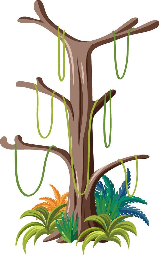 árbol aislado con liana vector