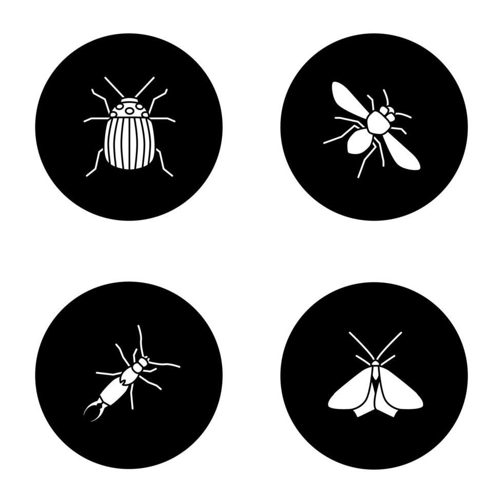 conjunto de iconos de glifo de insectos. escarabajo colorado, abeja melífera, tijereta, polilla. ilustraciones de siluetas blancas vectoriales en círculos negros vector