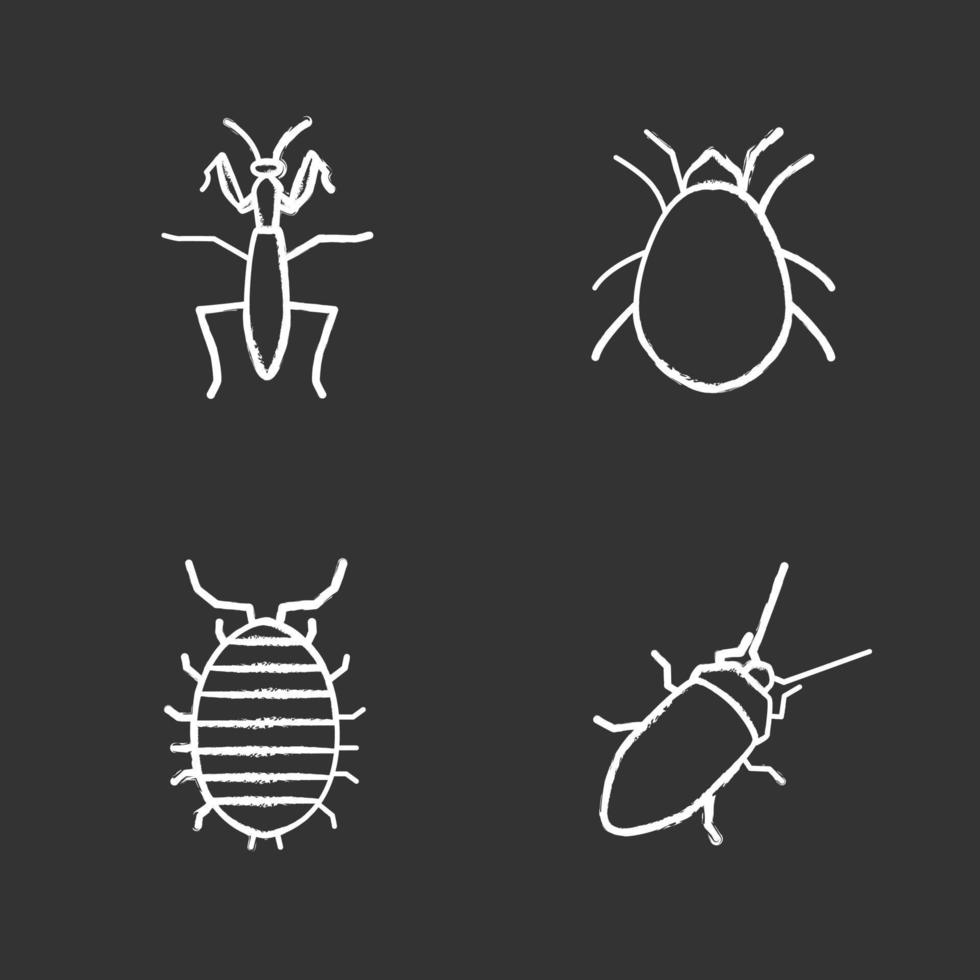 conjunto de iconos de tiza de insectos. mantis, cucarachas, cochinillas, ácaros. Ilustraciones de vector pizarra