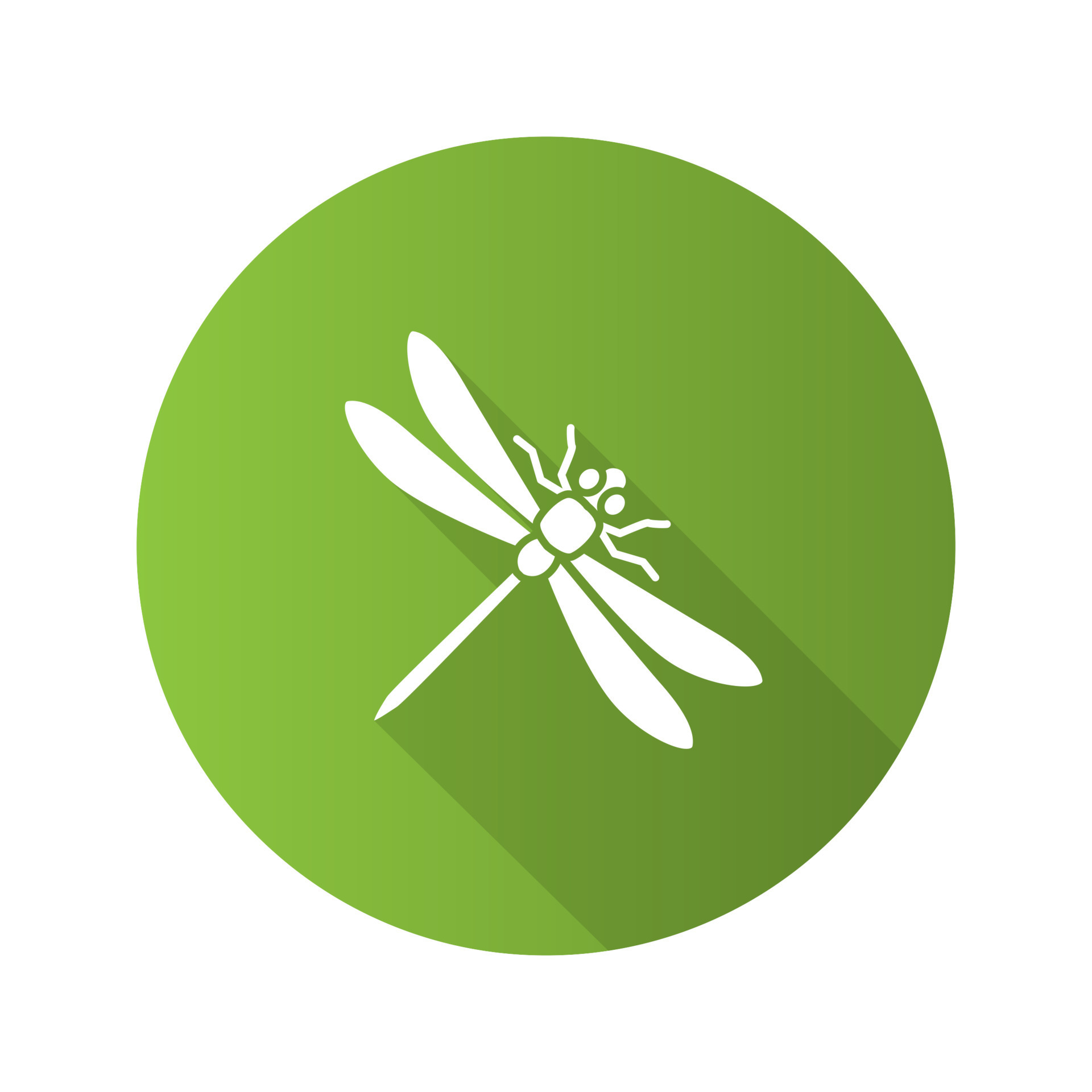 Dragonfly flat design long shadow glyph icons set. Insect. Vector ...