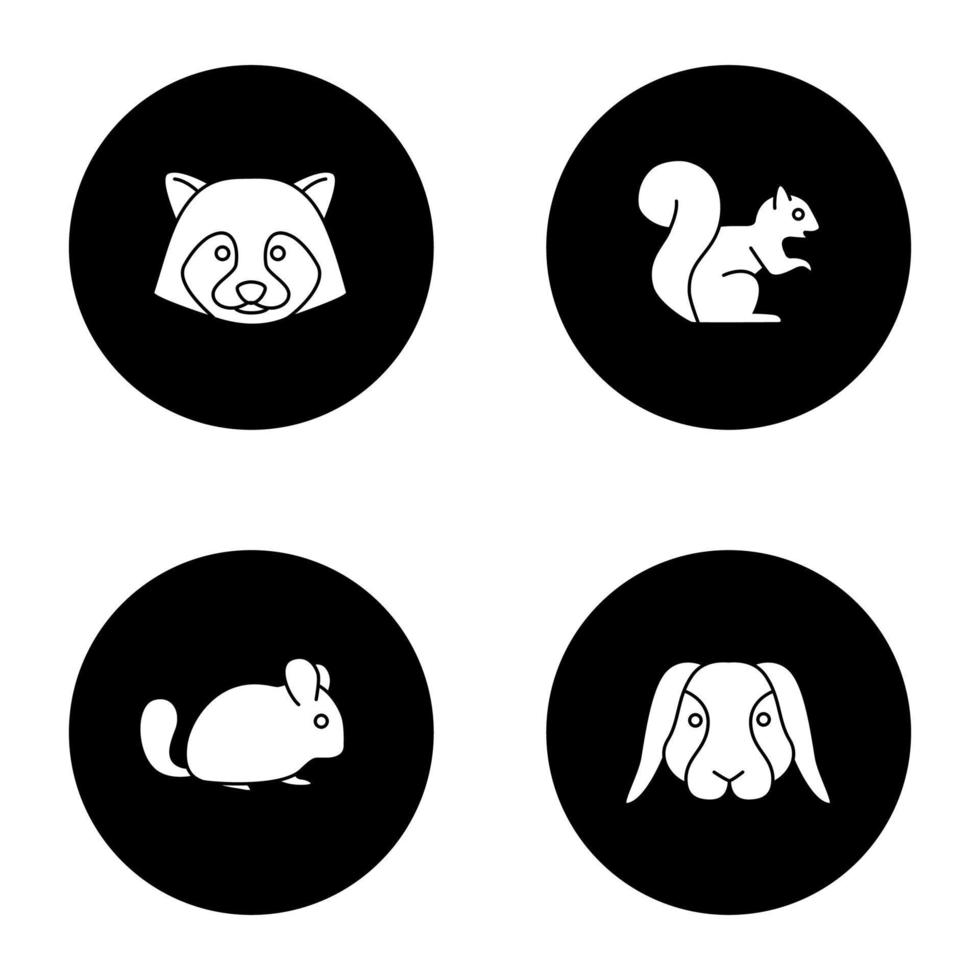 conjunto de iconos de glifo de mascotas. mapache, ardilla, chinchilla, conejo. ilustraciones de siluetas blancas vectoriales en círculos negros vector