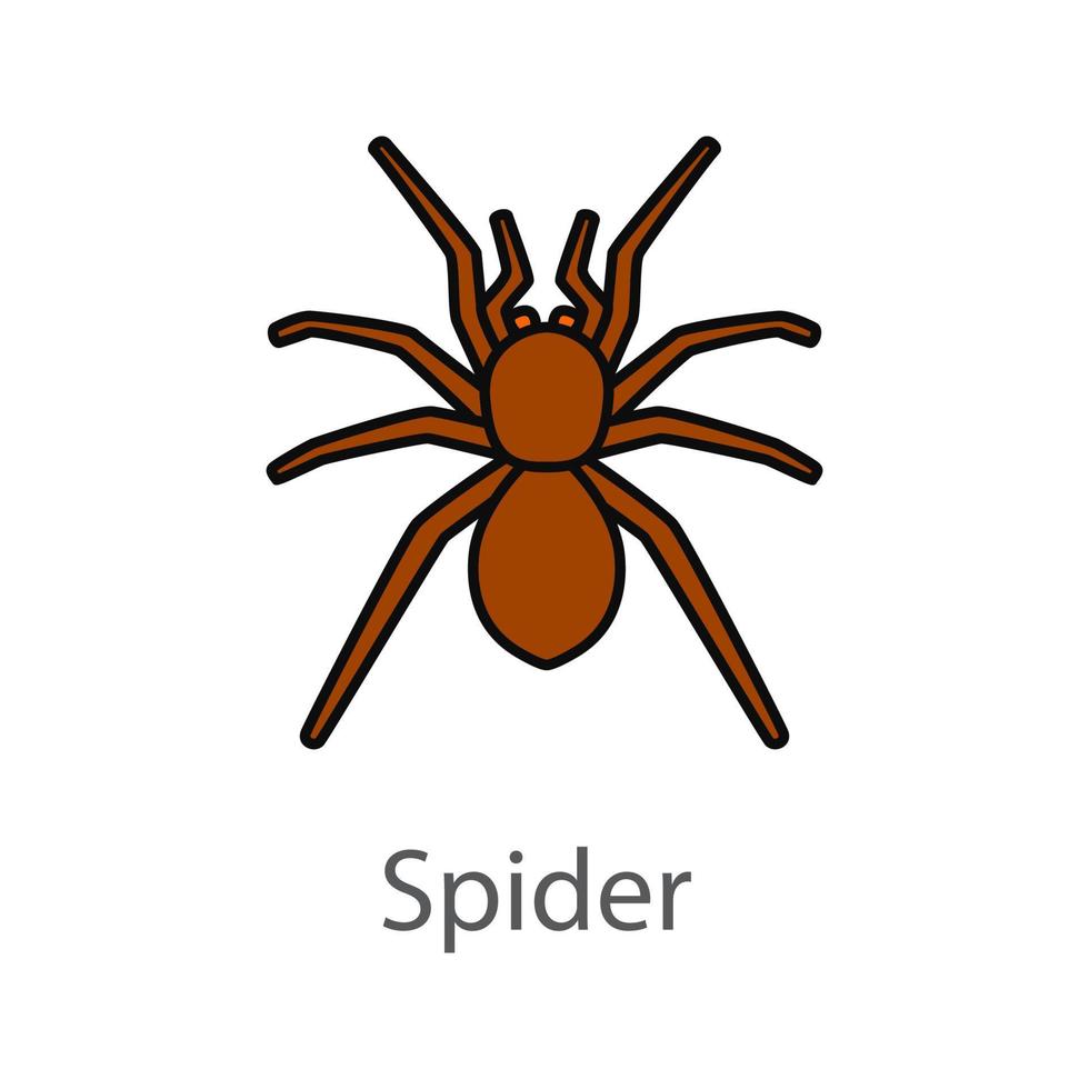 Spider color icon. Arachnida. Isolated vector illustration