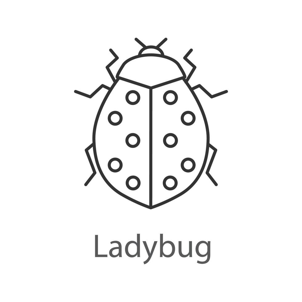 Ladybug Outline
