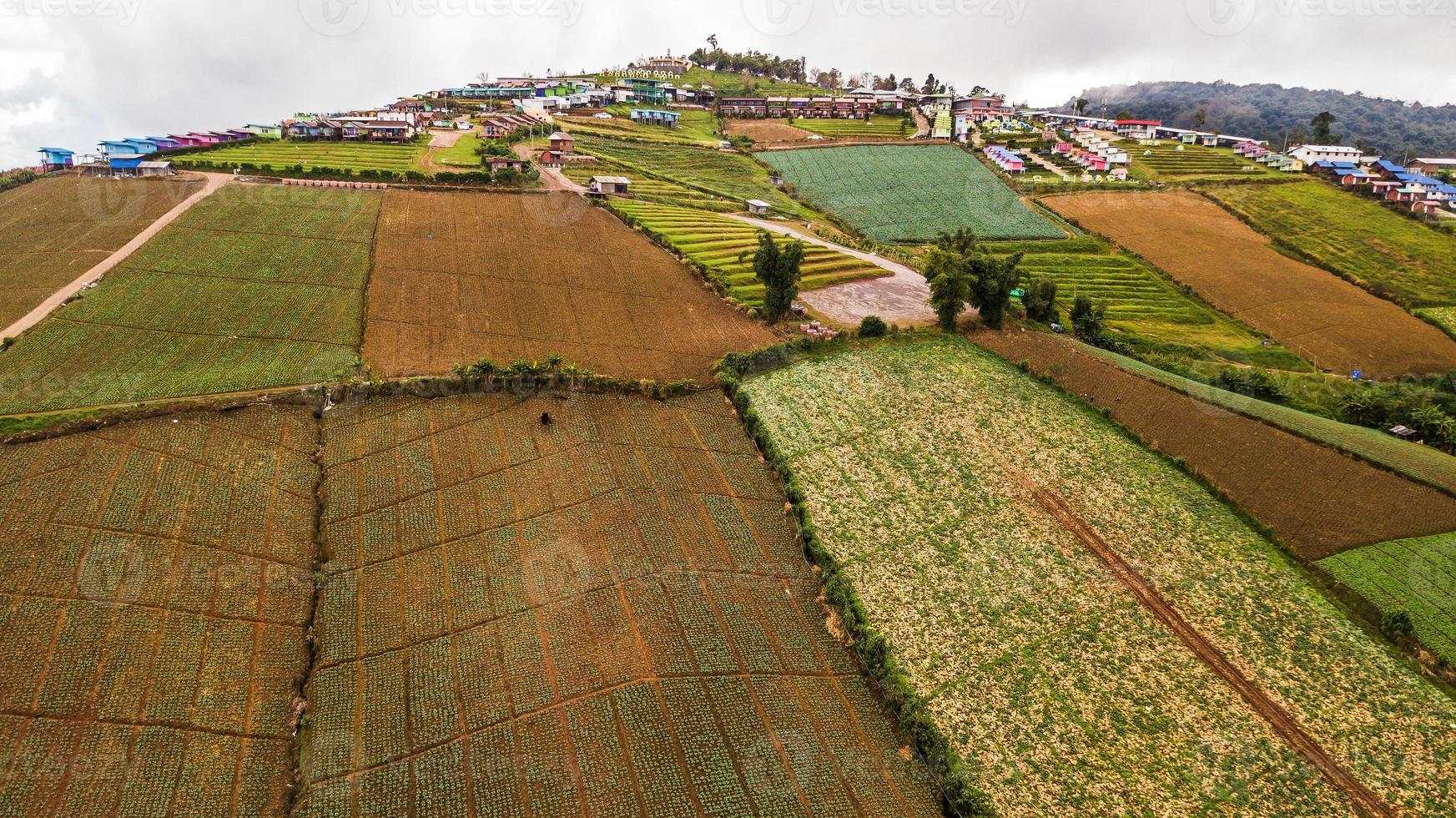 An aerial view of  Agricultural area photo