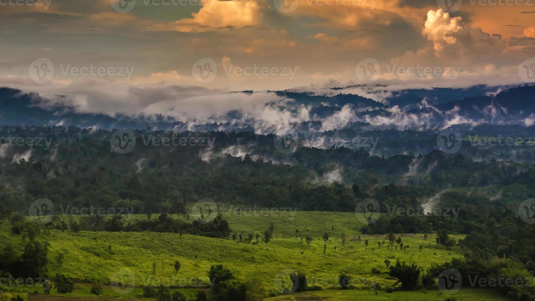 Mountains with trees and fog in thailand photo